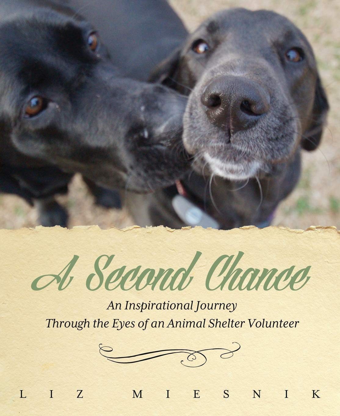 second chance shelter