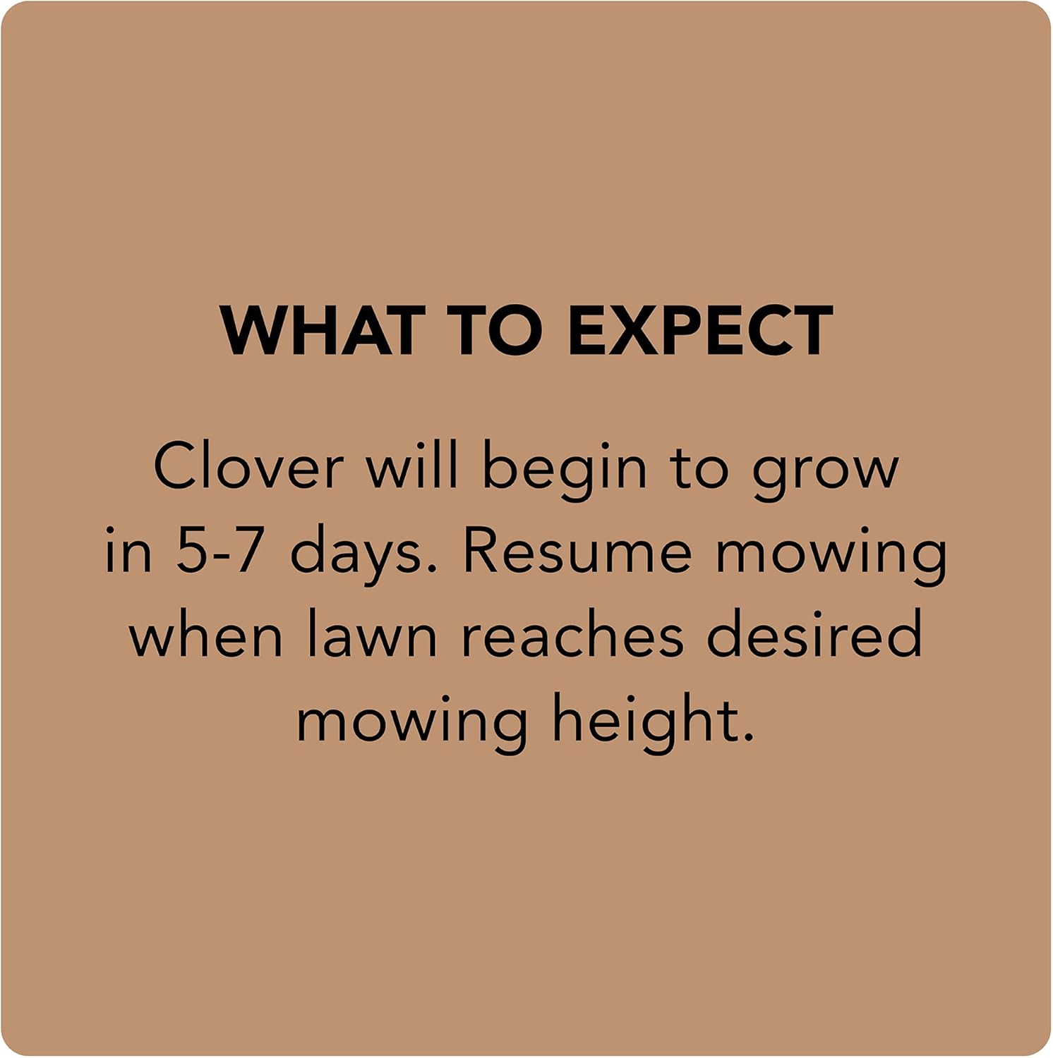 Scotts Turf Builder Clover Lawn, 2 lb. : Garden & Outdoor