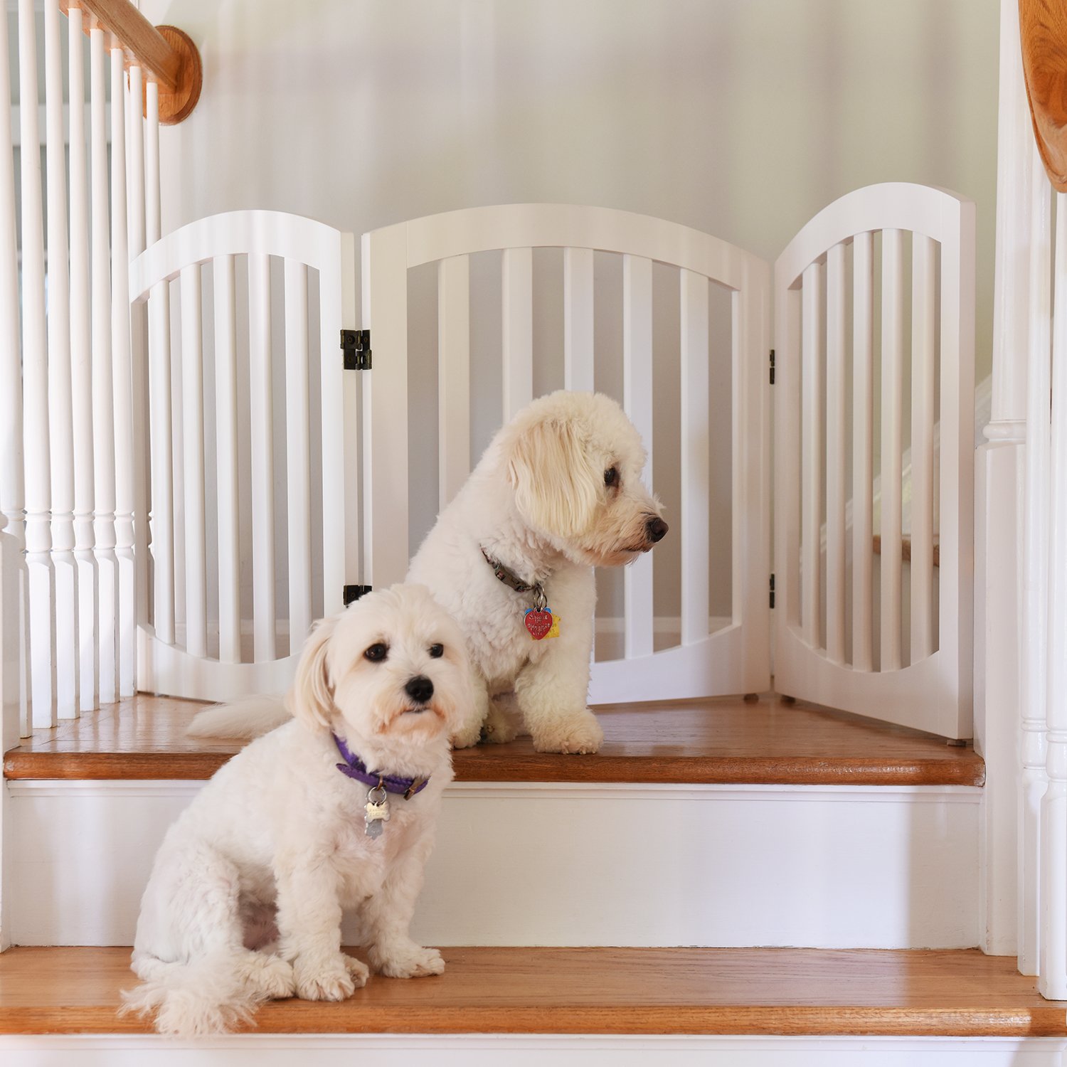 Arf pets Free standing Wood Dog Gate, Step Over Pet Fence, Foldable