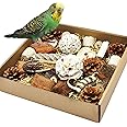 HOSUKU Natural Bird Foraging & Parrot Shredding Toys Box - Interactive Chewing and Foraging Toys for Parakeets, Cockatiels, Conures, Love Birds, and Small to Medium Birds