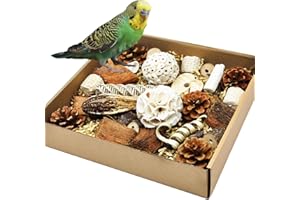 HOSUKU Natural Bird Foraging & Parrot Shredding Toys Box - Interactive Chewing and Foraging Toys for Parakeets, Cockatiels, Conures, Love Birds, and Small to Medium Birds