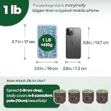 T4U Crystal Chips Stone Crushed Quartz Jade Pebbles 450g Fluorite Gravel view 3