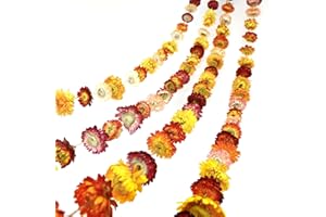 JTODER 6.6ft Dried Flowers Garland Real Daisy Sunflower Garlands Dry Flower Chain with 42 Colorful Chrysanthemum Heads for Boho Home Wedding Party Wall Hanging Bridal Window Decor Indoor Outdoor Decoration