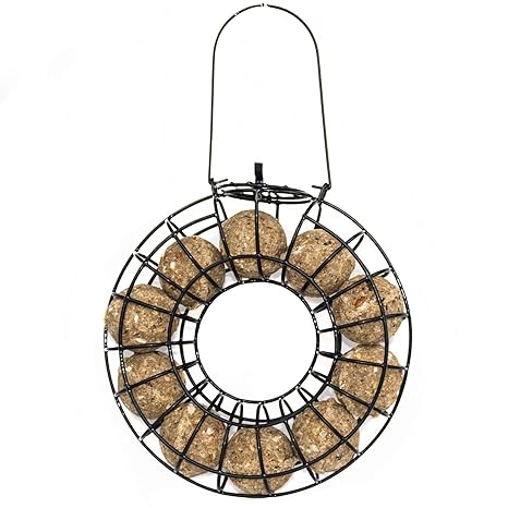 Pauls Mühle Ganzjahresknödel mit Insekten 2 x 100 Stück +1 Meisenknödel Rondell