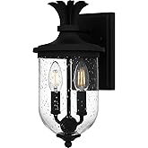 Quoizel Havana Coastal-Style Outdoor Wall Lantern, 13.5 Inch 2-Light Earth Black Wall Sconce, Pineapple Motif with Seedy Glas