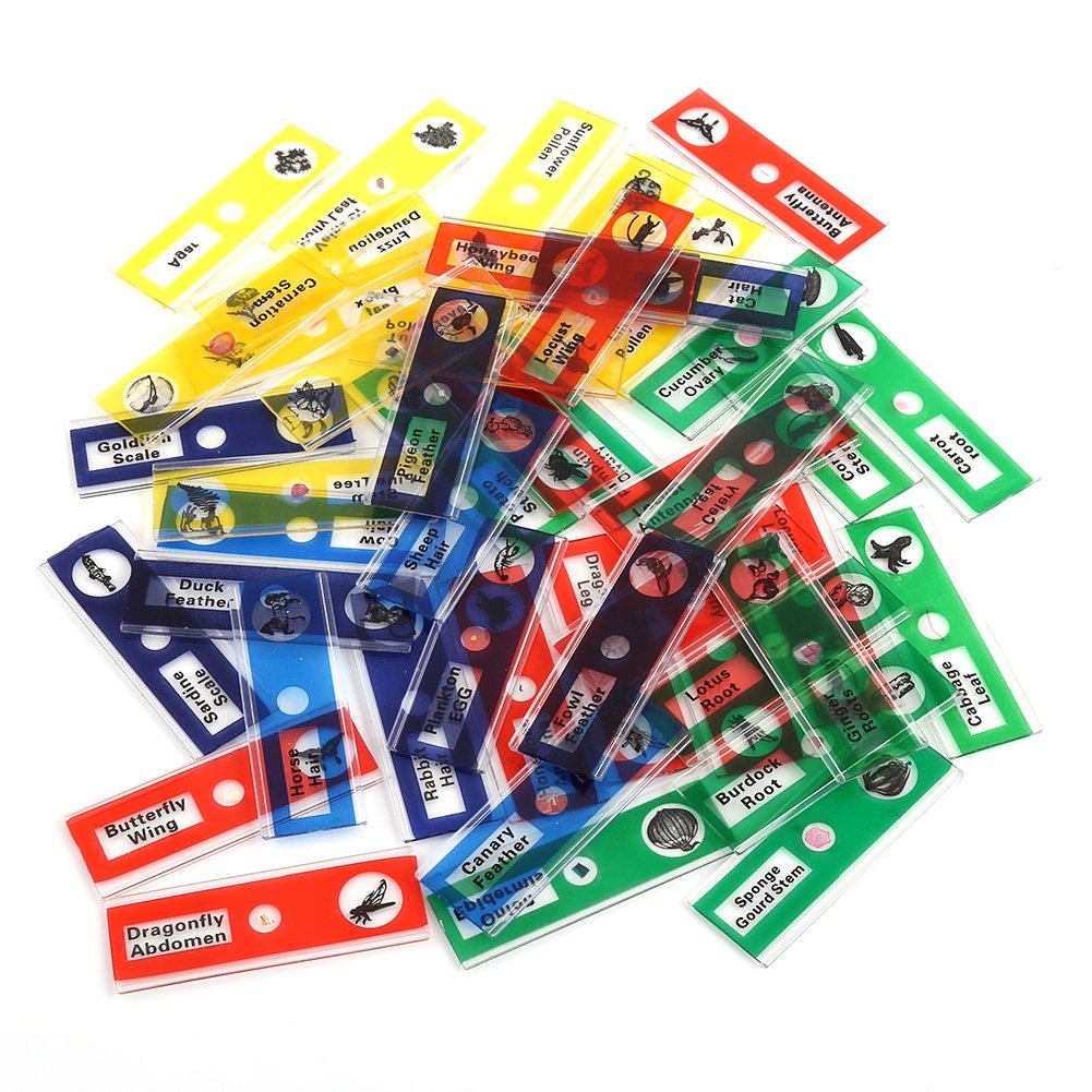 Hilitand 4 Boxes of Prepared Microscope Slides Animals Insects Plants Flowers Sample Specimens(red, yellow, blue, green, 12pcs/box) - Image 3
