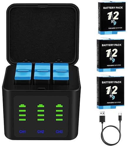 Amazon.com: TELESIN Enduro Battery (2-Pack) for GoPro 12 11 10 9