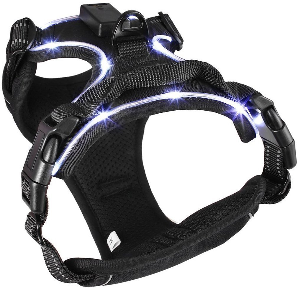Harnais LED sans Traction pour Petits Moyens Chiens, Harnais Souple Réglable, Harnais pour Animaux de Compagnie en Plein Air, Harnais de Sécurité Douce pour Exercices Entraînement
