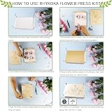 Rhykoka Flower Press 8-Layer 6.3x8.3 inch Wooden Leaf Pressing Kit view 5