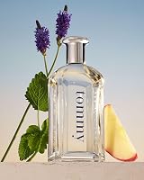 Tommy Hilfiger Tommy Eau de Toilette 100 ml Men Fougère Citrus Bottle view 4