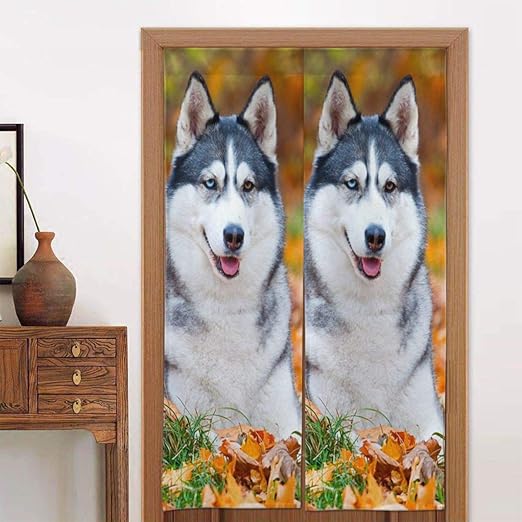 japanese siberian husky