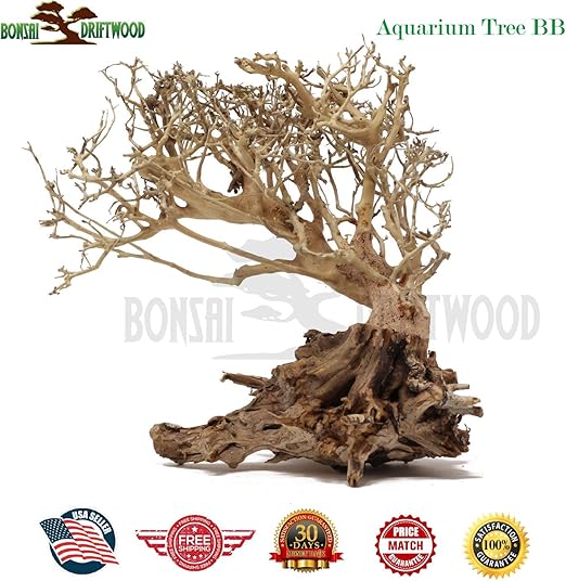 bonsai fish tank decorations