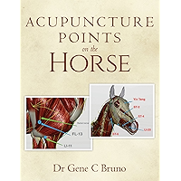 Acupuncture Points on the Horse book cover
