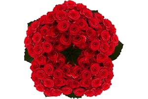 GlobalRose Fresh Cut Red Roses - 250 Roses Fresh Flowers Bouquet - Real Flowers Fresh Bouquet for Mother's Day, Birthday, Anniversary, Bridal Shower, or Home Decor - Fresh Cut Flowers Delivery Gift