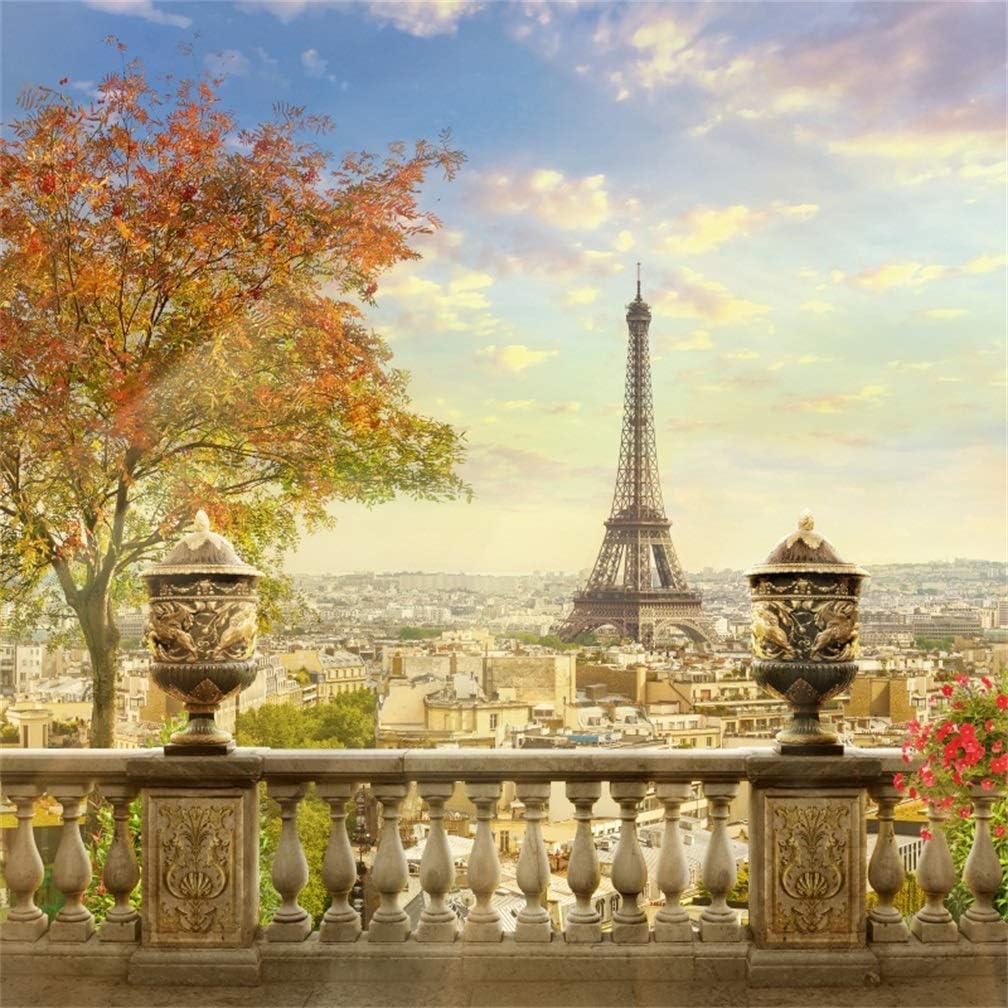 Amazon.com : LFEEY 7x7ft Paris Eiffel Tower Backdrop Vintage Balcony
