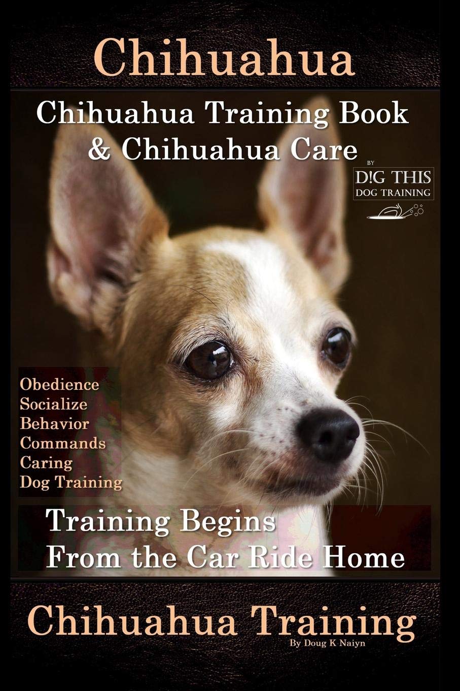 chihuahua care