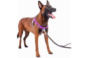 APDEXY No Pull Dog Harness Freedom Walking, Stop Pulling with Two Stainless D-Rings, Comfortable, Sewn-in Instructions Tags for Easy Use (Purple, M/L - 1'')