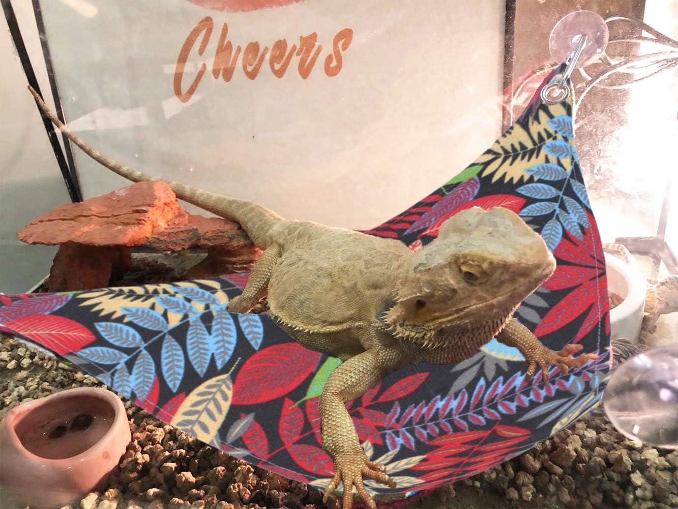 Amazon Com Reptile Bearded Dragon Hammock Lounger Ladder Bearded Dragon Lizard Accessories For Large Small Bearded Dragons Geckos Lizards Snakes Black Kitchen Dining