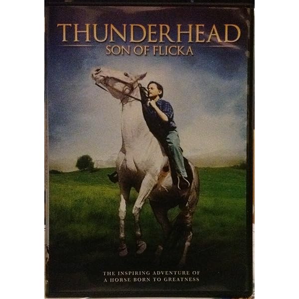 Amazon.com: My Friend Flicka [DVD] : Harold D. Schuster