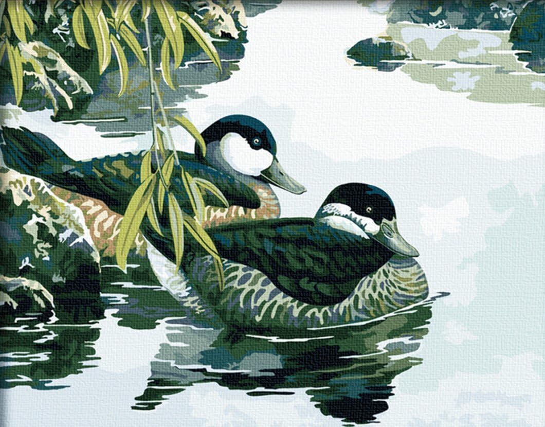CaptainCrafts New Paint by Number Kits Two Ducks 16x20