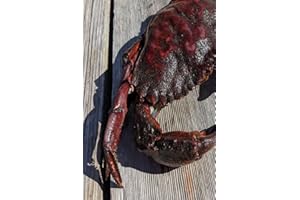 Pacific Northwest Red Rock Crab Notebook: 120 Pages for Notes, Ideas, Lists & Everyday Use