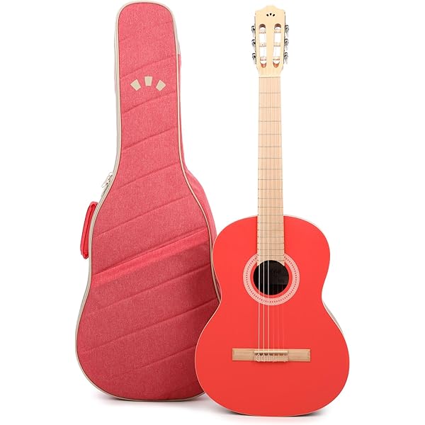 Amazon.com: Cordoba Protégé C1 Matiz Classical Guitar in Aqua with 
