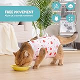 Avont 2 Pack Cat Recovery Suit Kitten Onesie After Surgery Cherry Strawberry M view 3