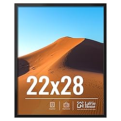 LaVie Home 22x28 Picture Frame for Wall
