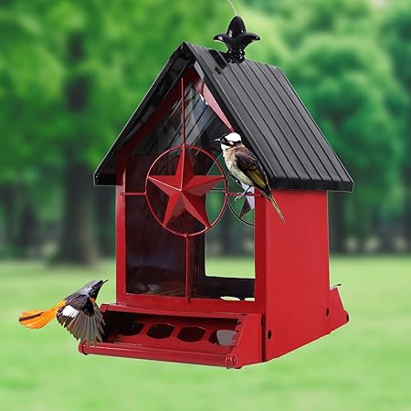 Amazon Com Phi Villa Large Steel Squirrels Proof Bird Feeder