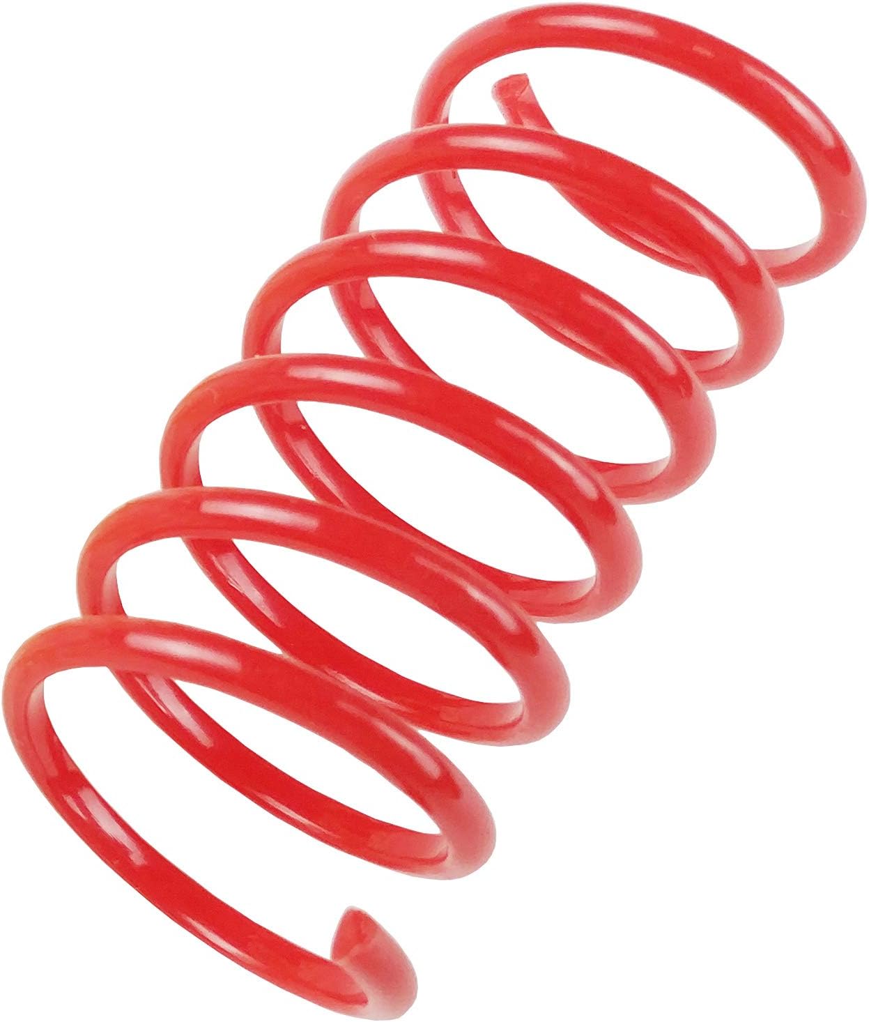 Tamu style Cat Spring Toys (30 Pack), Plastic Coils for Indoor Active Healthy Play, Colorful 2 Inch Spirals : Pet Supplies