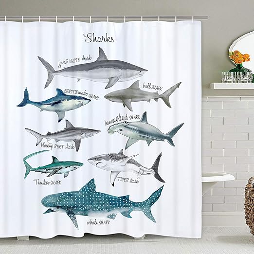 Amazon Com Shark Shower Curtain Marine Theme Sealife Shower