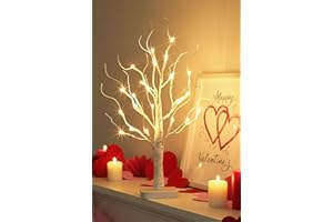 EAMBRITE Lighted Birch Tree, Artificial Tree Battery Operated Christmas Decorations with Timer and 24 Warm White Lights, Tabl