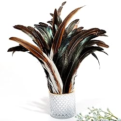 THARAHT 20PCS Rooster Coque Tail Feathers Bulk