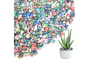 HappyFiller Colored Pea Gravel, Indoor Plants Succulent Cactus Topper Dressing Pebbles Fairy Garden Terrarium,Polished Mini Stones 3-5mm for Aquarium Fish Tank,Vase Filler,Resin Arts Crafts,0.88 LB