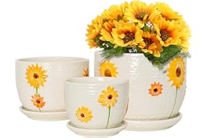 Ton Sin Plant Pots,Set of 3 Ceramic Sunflower Flower Pots for Indoor Plants,4+5+6 inch Pots with Drainage Hole Saucer,Garden Pots Catus Planters