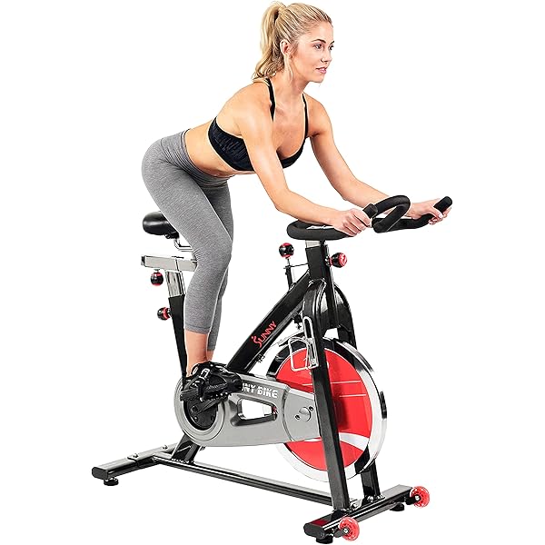 Recumbent Bike Amazon Sunny Spin Bike Gray Recumbent Bike By Sunny