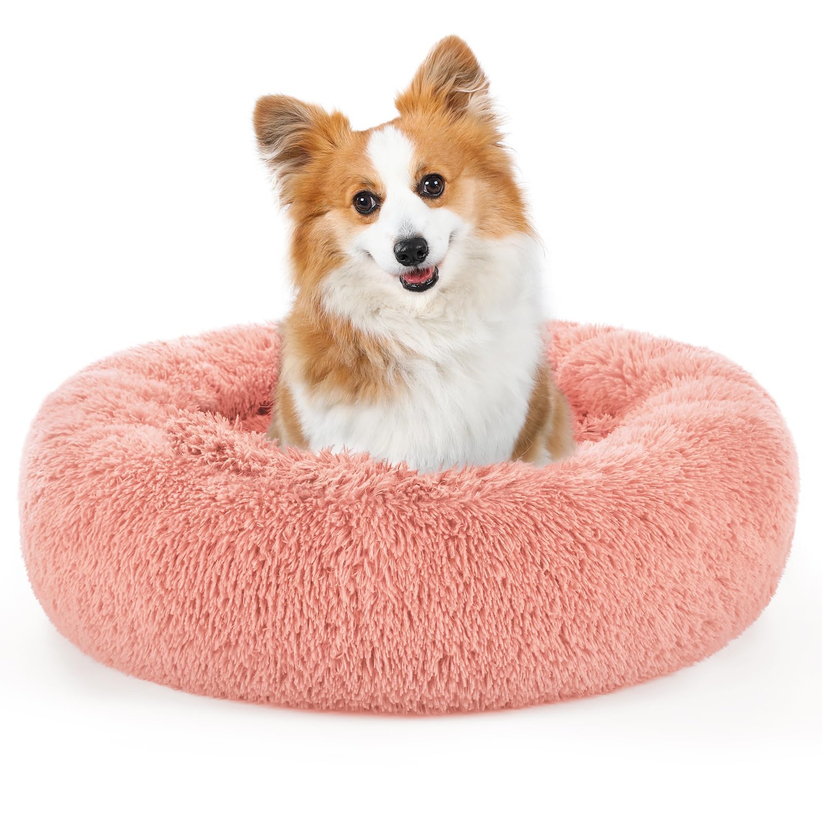 Photo 1 of rabbitgoo Calming Dog Bed for Small Medium, 30 inches Pet Bed Machine Washable, Non-Slip Round Fluffy Plush Faux Fur 