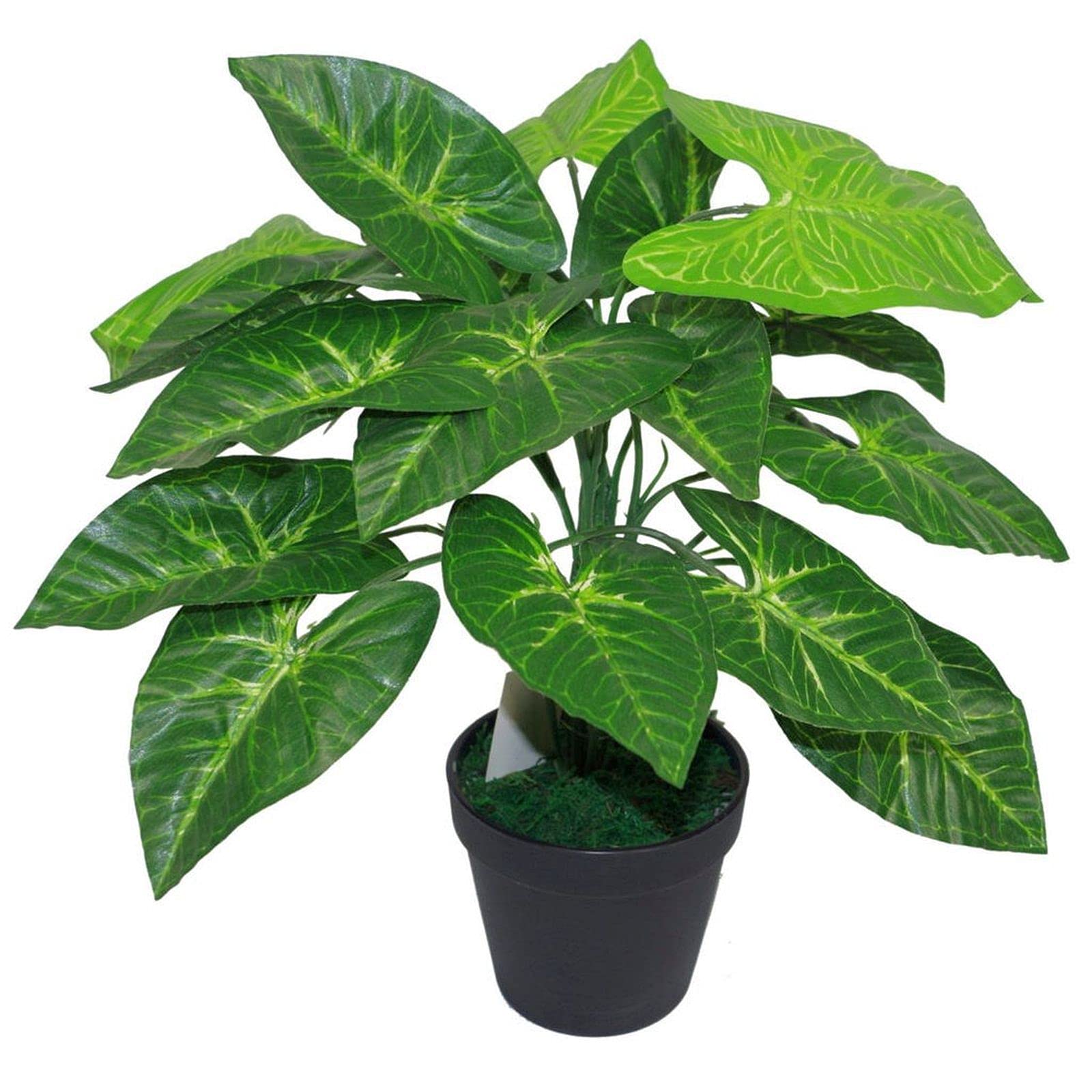 Leaf Design UK Realistic Large Artificial Foliage Plant with Pot, 45cm, Dark Taro