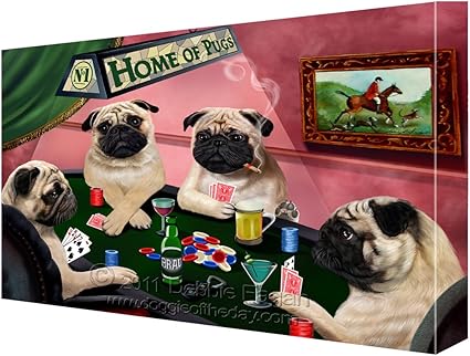 blue heeler puppy care