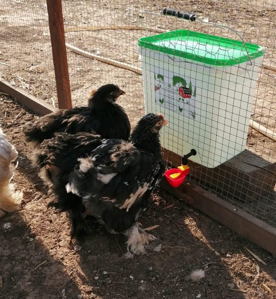 UpToDate Mangeoire Automatique de Poulet 7 kg avec Abreuvoir pour 