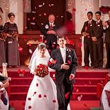 4000 Rose Petals Artificial Silk Red Wedding Confession Party view 6