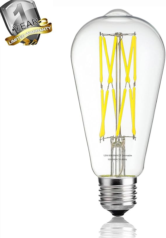 Leools LED Edison ampoule 12W 5000K blanc lumière du jour 1080LM, 100W