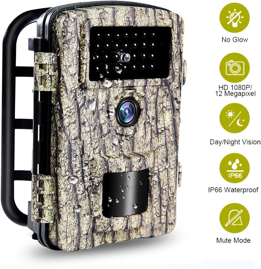 telecamera glow trail