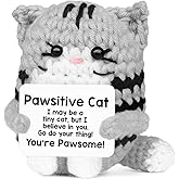 Positive Crochet Cat Christmas Birthday Gifts for Women Men Daughter Son Uncle Aunt Back to School Friend Coworker Desk Home Fall Decor Emotional Inspirational Support Crochet Animals Gift Idea