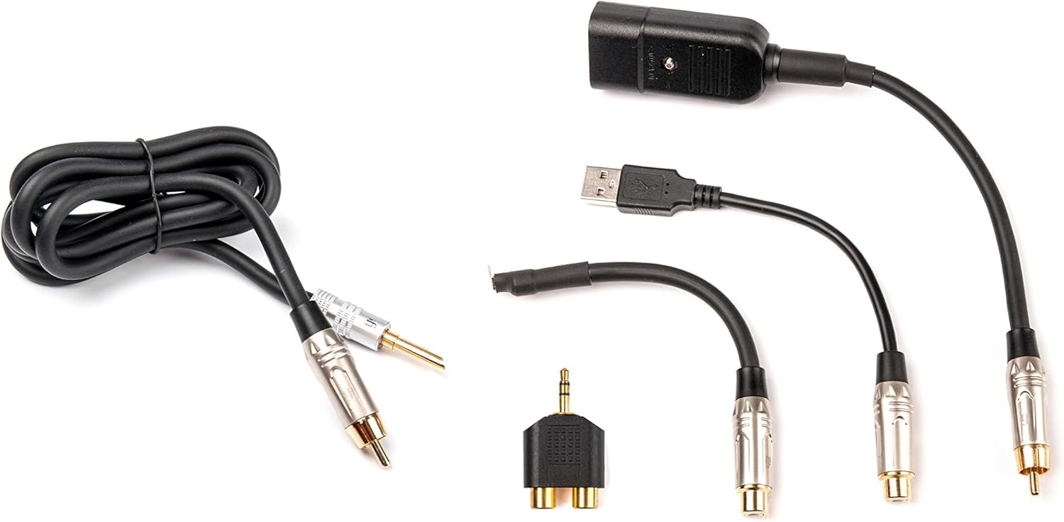 iFi Groundhog - Ground Loop Isolator for Audio Systems (Groundhog+), Black