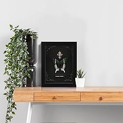 Real Butterfly Framed Butterfly Taxidermy