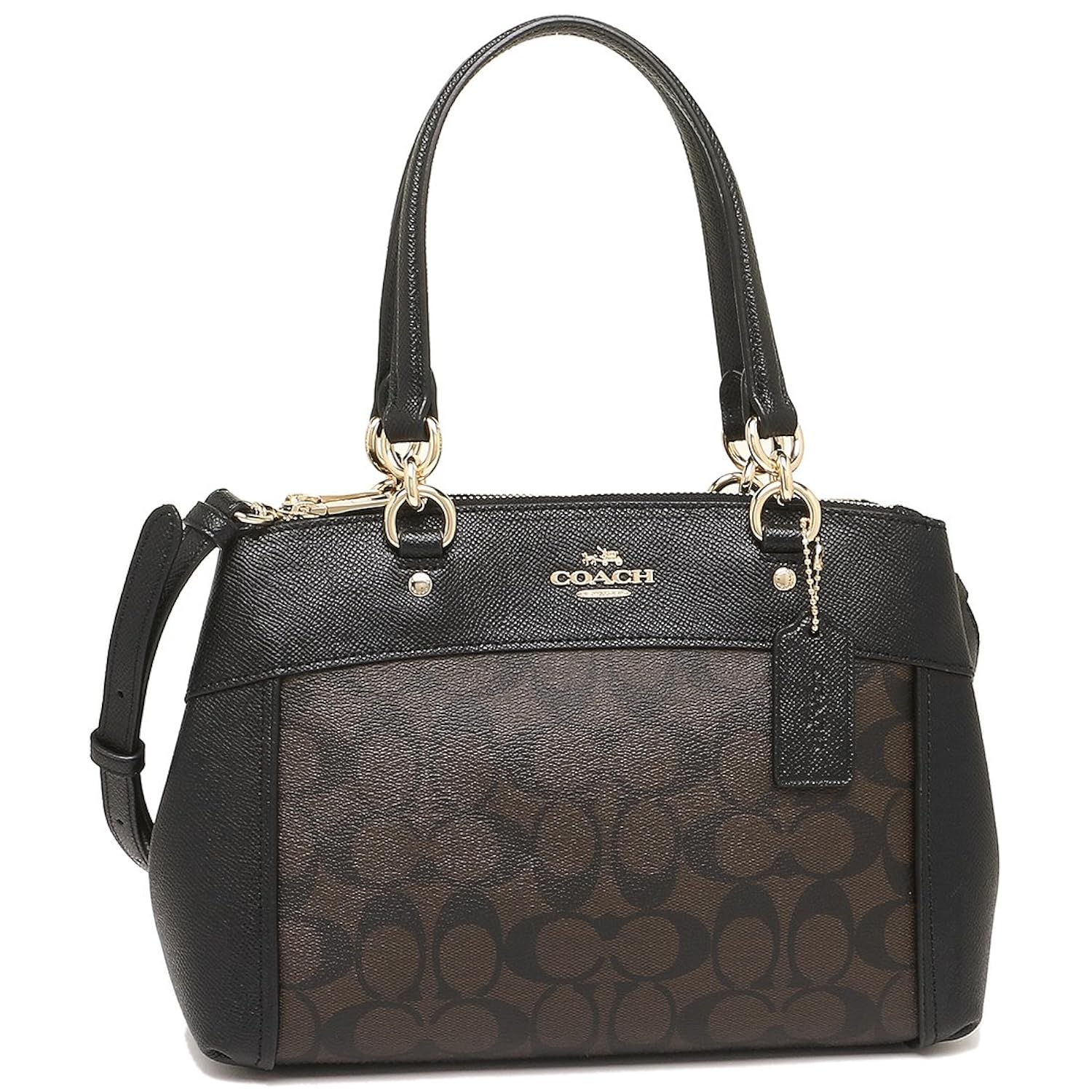 The Most Expensive Coach Purse Literacy Basics