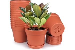 homenote Pots for Plants, 15 Pack 6 Inch Plastic Planters with Multiple Drainage Holes and Tray - Plant Pots for All Home Garden Flowers Succulents (Terra Cotta)