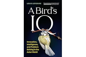 A Bird's IQ: Innovation, Intelligence, and Problem Solving in the Avian World