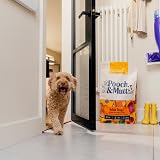 Pooch & Mutt Adult Superfood Complete Dry Dog Food Chicken 1.5kg view 3